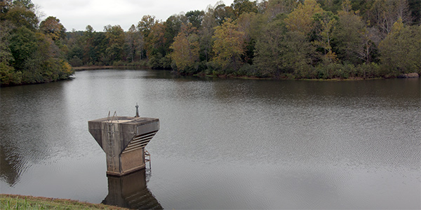 Engineering assistance - dam safety