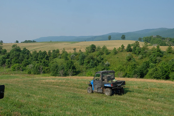 farm with riparian buffers