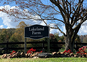 The Sedwick Family, Lakeland Farm