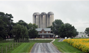 Weldon Heatwole, Cedar Ridge Dairy, Inc.