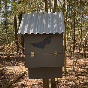 Bat box geocache