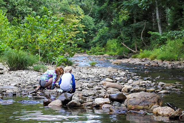 Camping Creekside in Whispering Pines Campground 