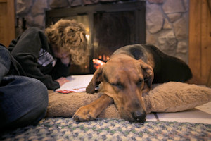 Child and dog by fireplace.