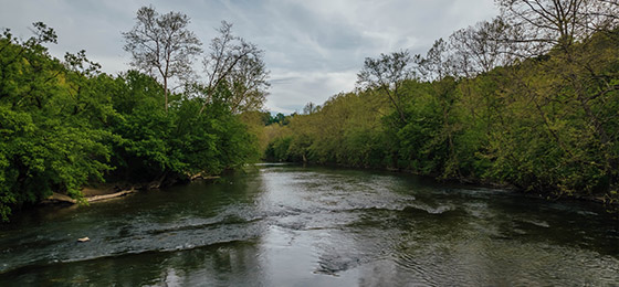 Clinch River State Park