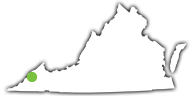 An Image