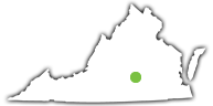 An Image