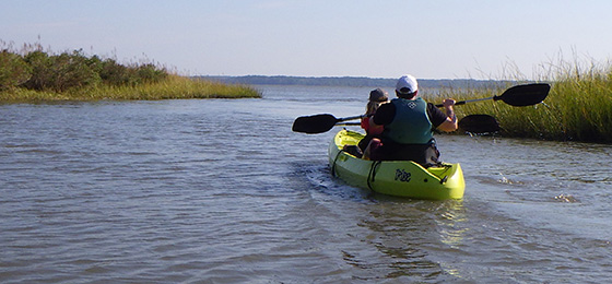 A Day in the Life of York River State Park: Woodstock Pond Trail - State  Parks Blogs