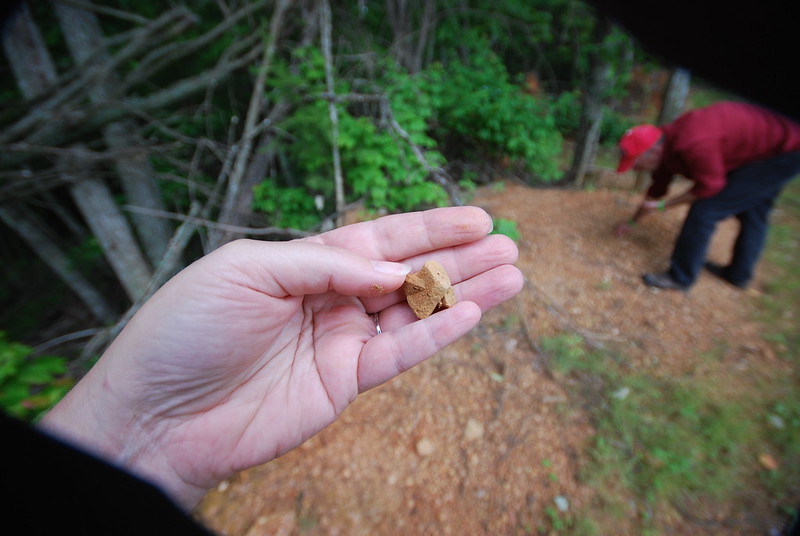 hunting for fairy stones