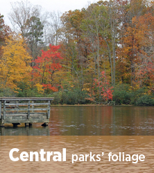Northern parks' fall foliage reports