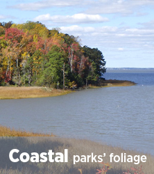 Coastal parks' fall foliage reports