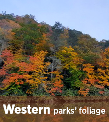 Western parks' fall foliage reports