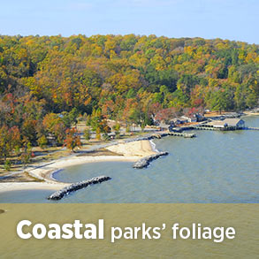 Coastal parks' fall foliage reports