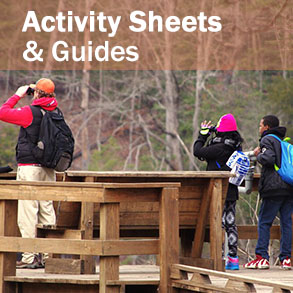 Guides and activity sheets