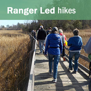 Ranger led hikes