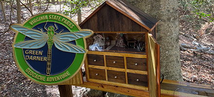 Travel Bug Hotel Geocaching Game