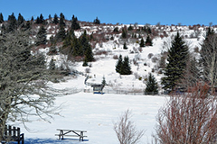 Grayson Highlands State Park