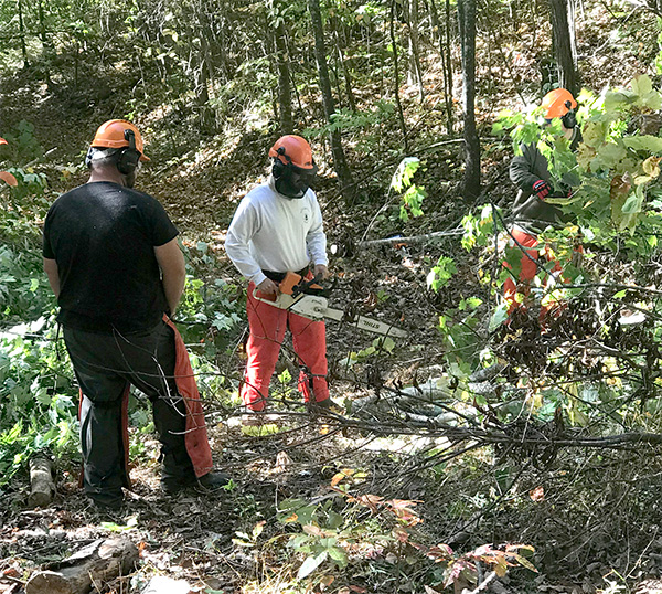 Rangers doing trail maintenance
