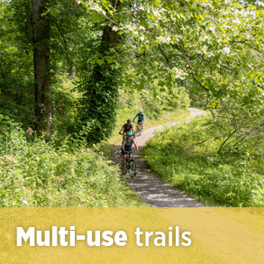 mega button for multi-use biking