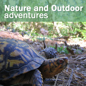 Nature and outdoor adventures