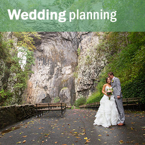 Plan your wedding