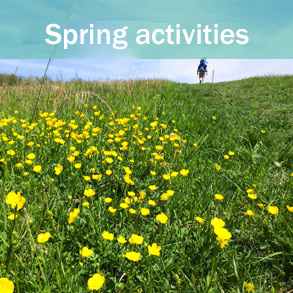 Spring Activities