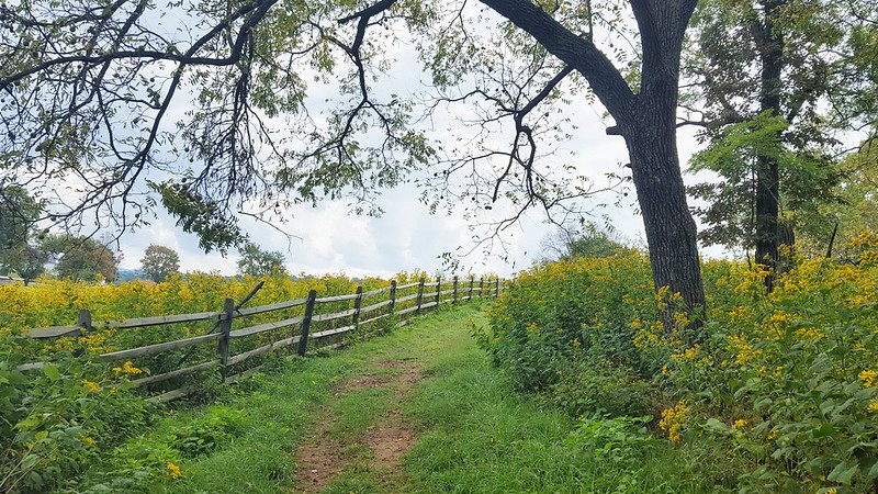 Hike the Appalachian Trail at Sky Meadows State Park