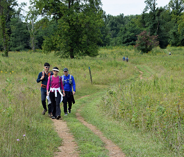 Wear long pants and long sleeves when hiking to protect yourself from ticks and other insects.