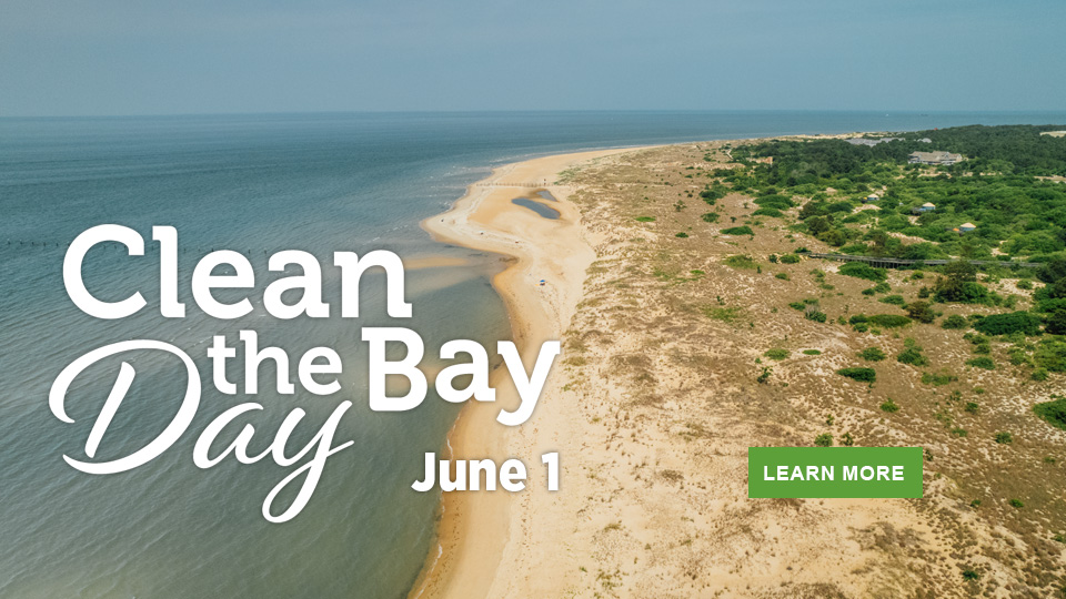 Clean the Bay Day June 1