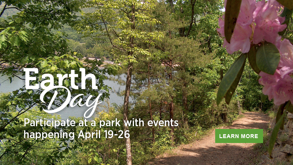 Celebrate Earth Day