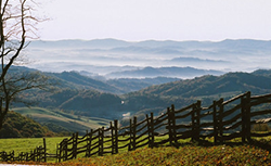 An Image